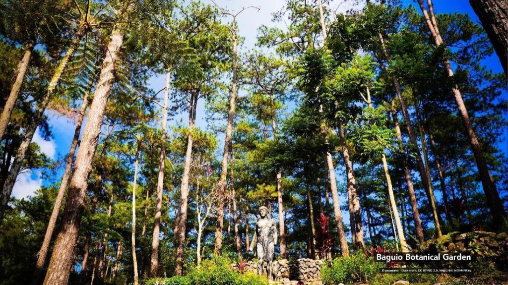 Zen Rooms Venus Parkview Baguio Baguio City Εξωτερικό φωτογραφία